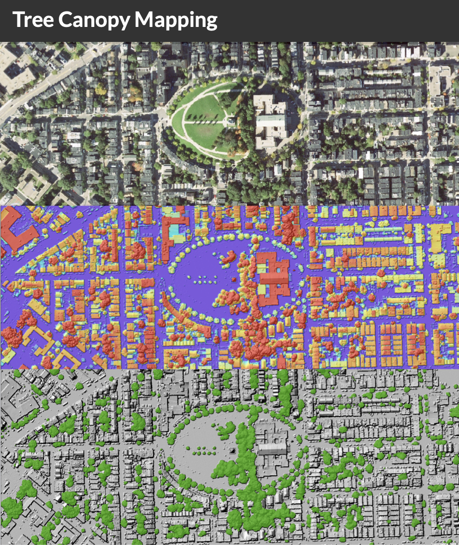 An excerpt showing how tree canopy data is extracted from aerial imagery, from the 2021 Tree Canopy Assessment report