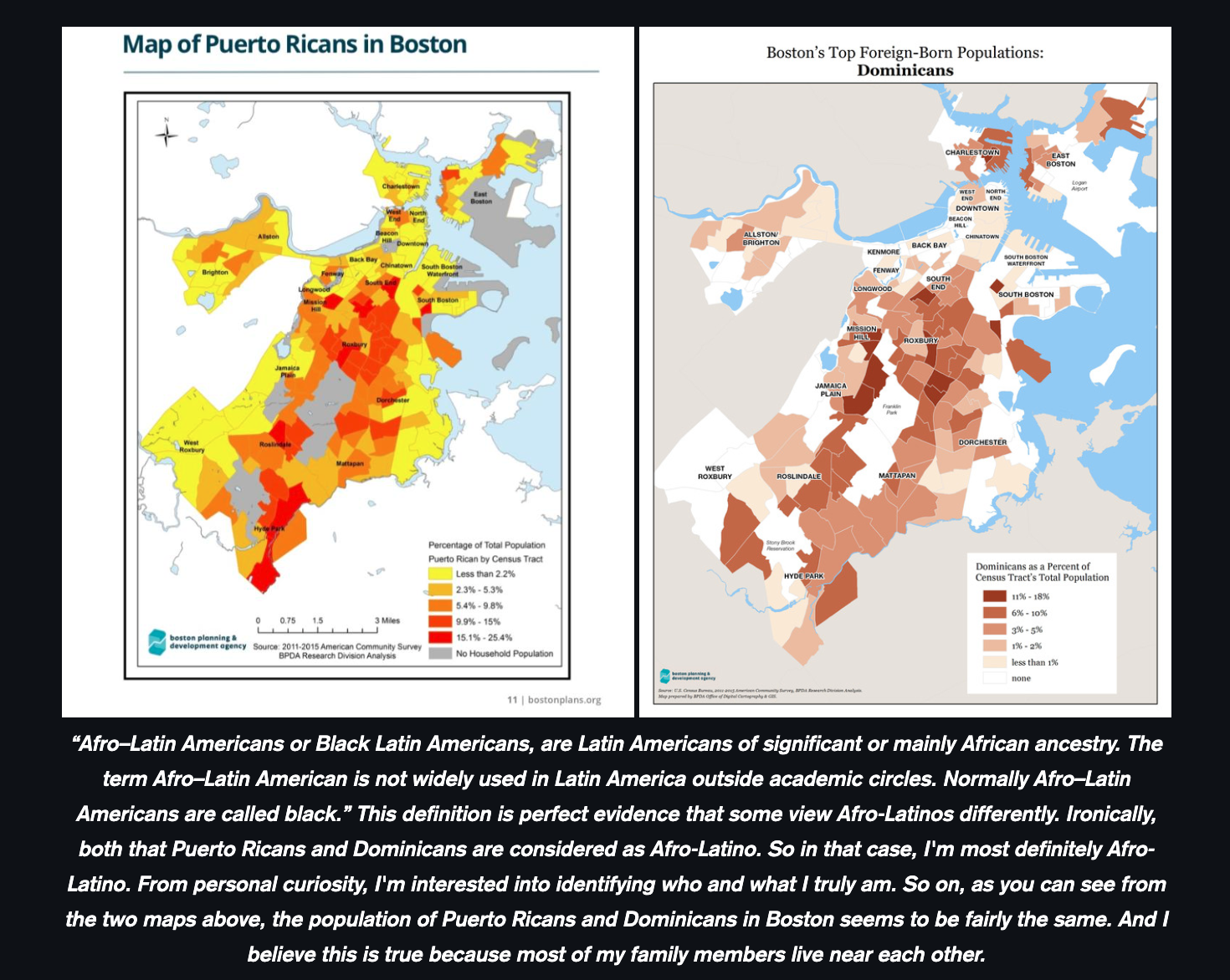 Screenshot of Maptivist student project showing choropleth map of Afro-Latin Americans