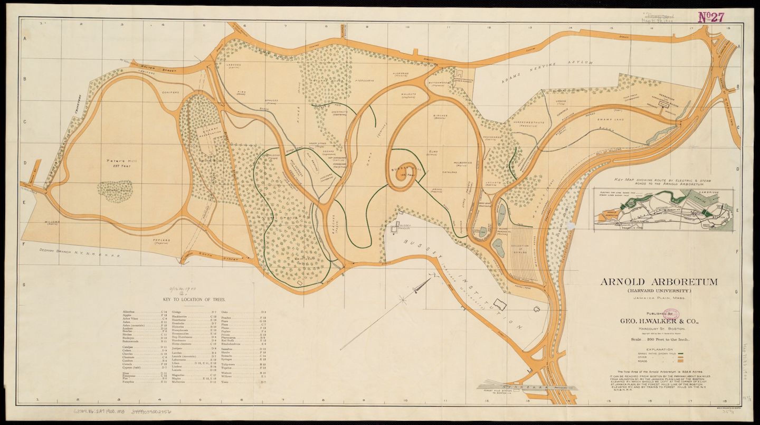 Celebrating Frederick Law Olmsted